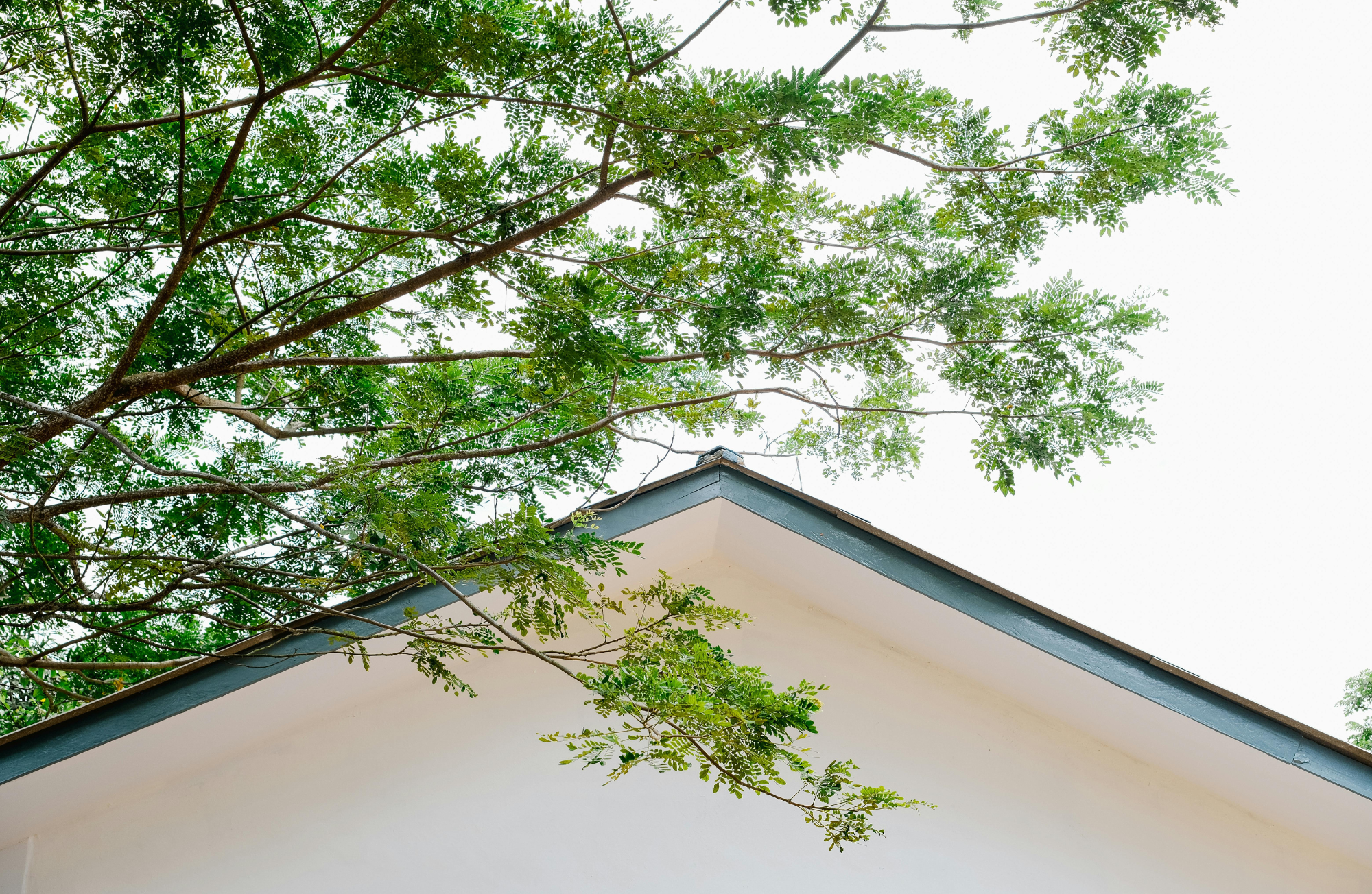 Protect the property: We cover landscaping, walkways, and surrounding areas to prevent damage during work. - Protective coverings and barriers around your home.